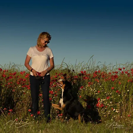 Casa de Férias Kunterbunt: Urgemuetlich Und Fast Perfekt