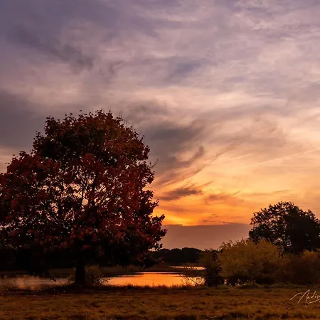 Casa vacanze Kunterbunt: Urgemuetlich Und Fast Perfekt *