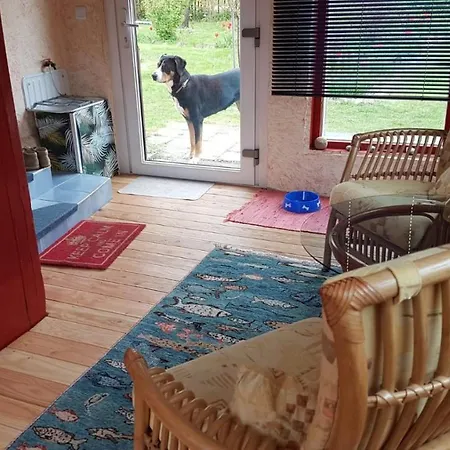 Kunterbunt: Urgemuetlich Und Fast Perfekt Hohen Wangelin