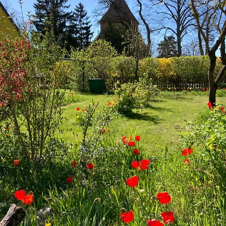 Kunterbunt: Urgemuetlich Und Fast Perfekt * Hohen Wangelin