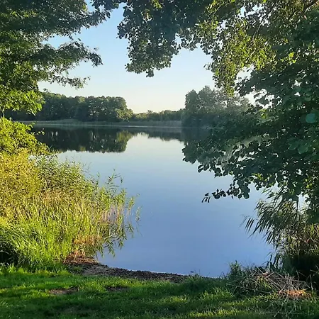 Kunterbunt: Urgemuetlich Und Fast Perfekt Hohen Wangelin