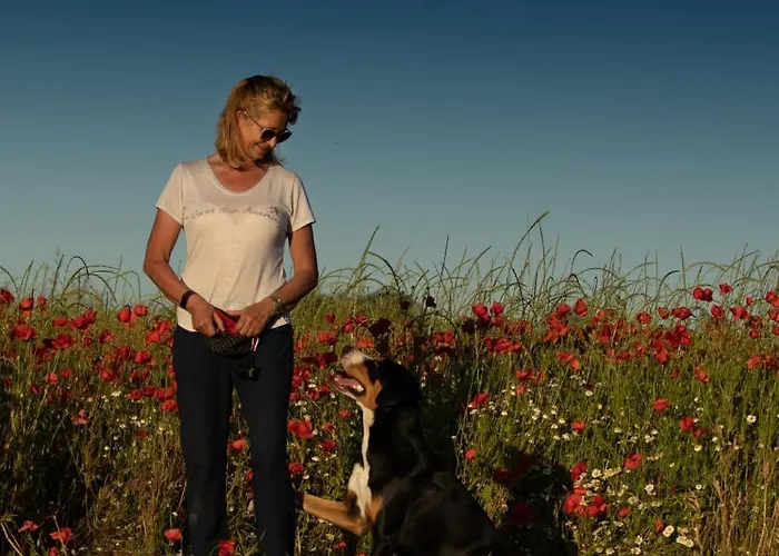 Vakantiehuis Kunterbunt: Urgemuetlich Und Fast Perfekt