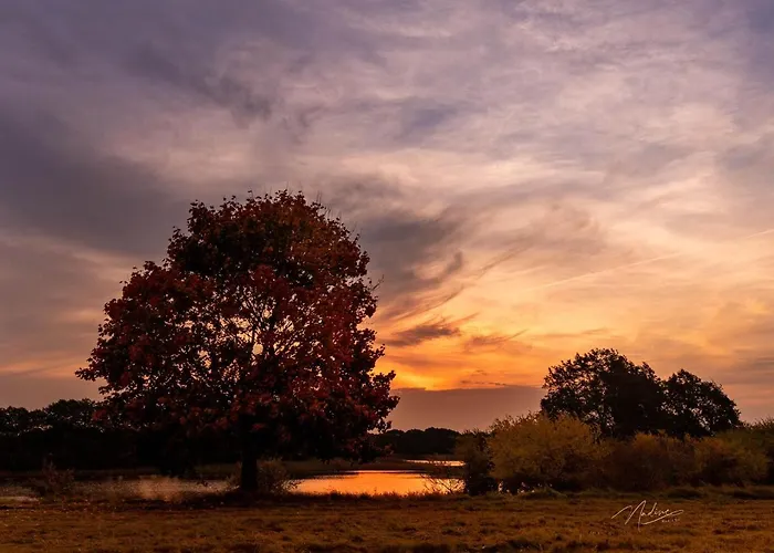 Vakantiehuis Kunterbunt: Urgemuetlich Und Fast Perfekt *