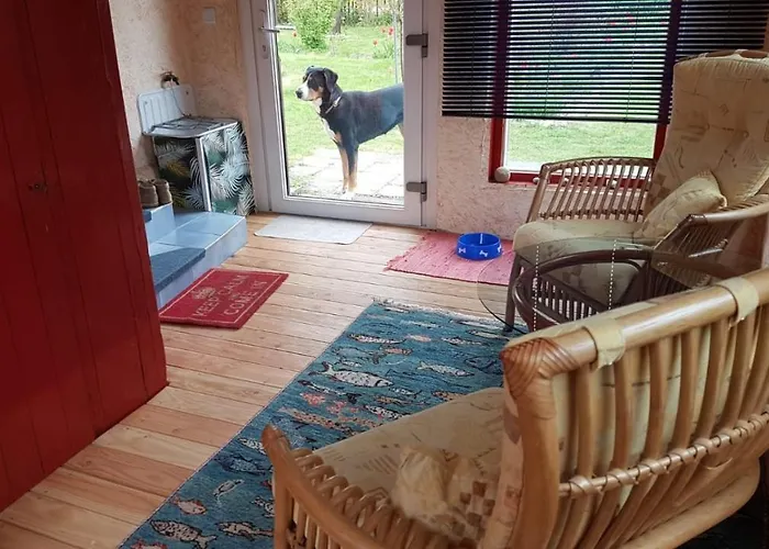 Kunterbunt: Urgemuetlich Und Fast Perfekt Hohen Wangelin